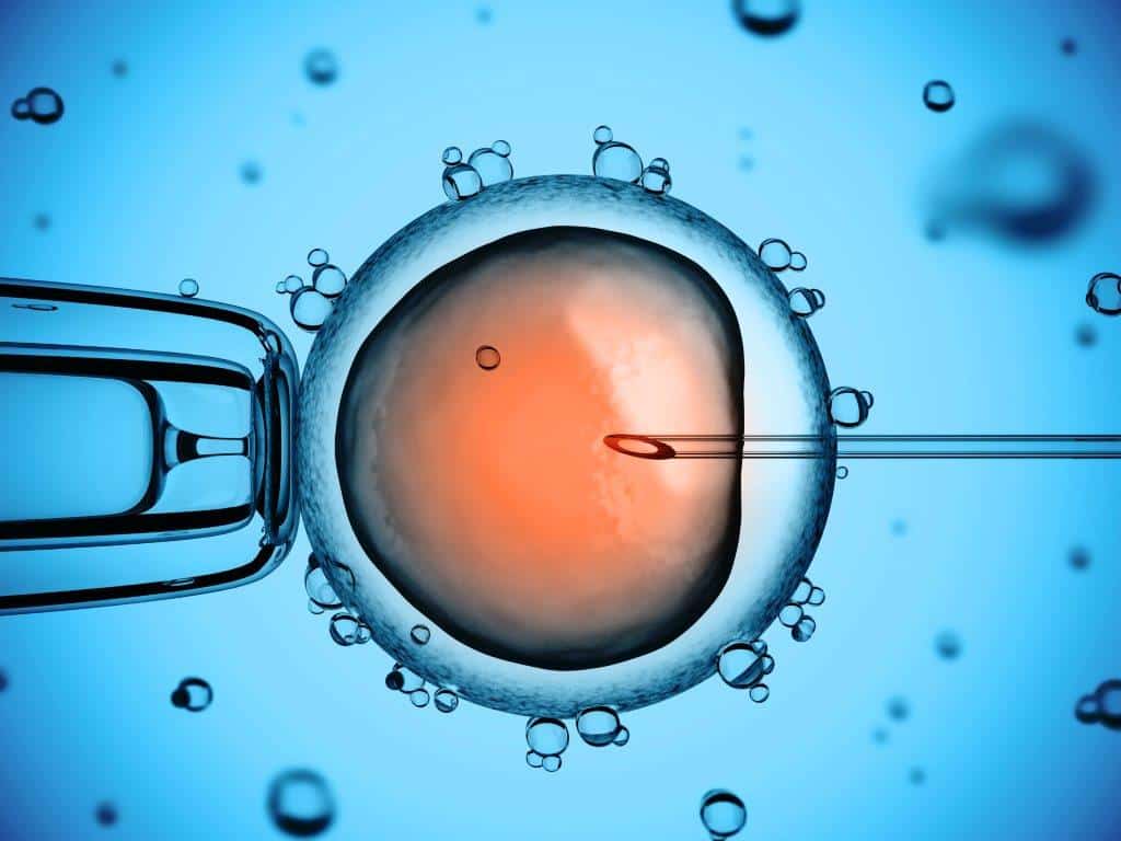 fertilização in vitro grátis